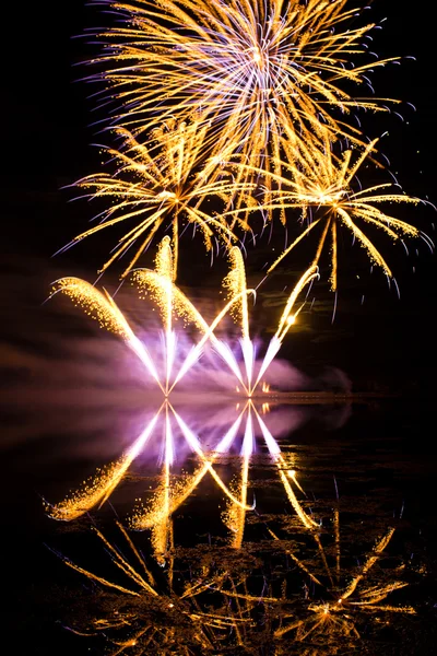 Gouden en paarse vuurwerk — Stockfoto