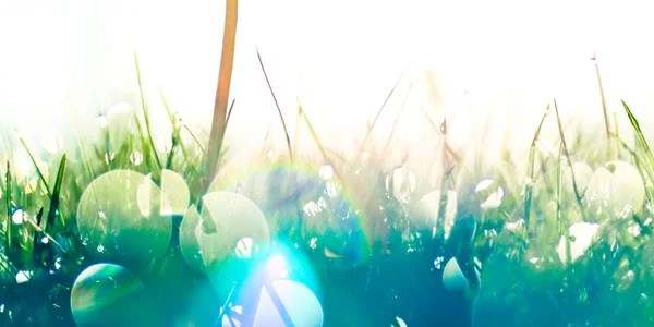 son damla ve gökkuşakları