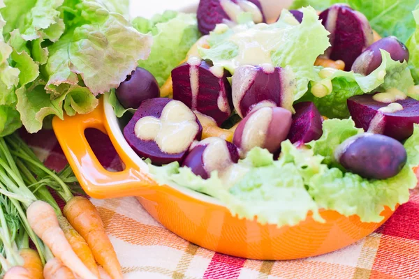 Organische wortel en rode bieten salade — Stockfoto