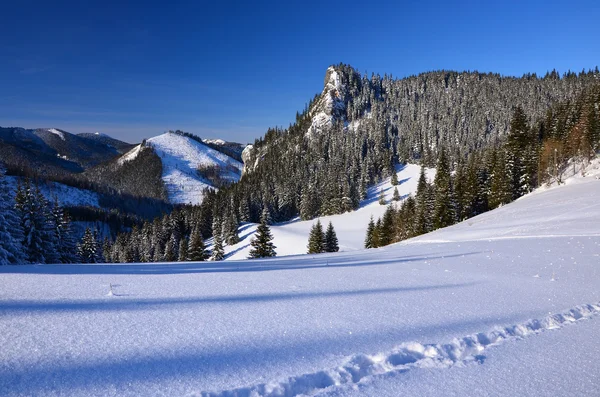 Winter landscape of Tatra Mountains near Przyslop Mietusi — Stock Photo, Image