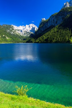 berrak yeşil su ile güzel dağ gölü