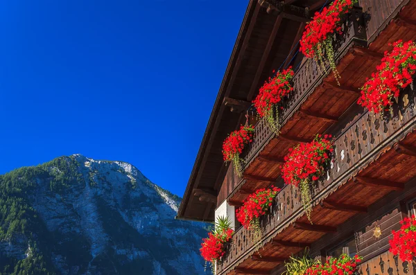 背景の山と伝統的なオーストリアの家のバルコニーの赤い花 — ストック写真