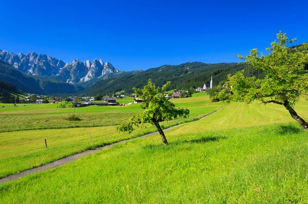 Alpi prato di montagna tranquilla vista estiva — Foto Stock