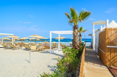 palmiye ağacı yolda porto giunco plaj şezlong ve şemsiyeler arka plan, Sardinya Adası, İtalya