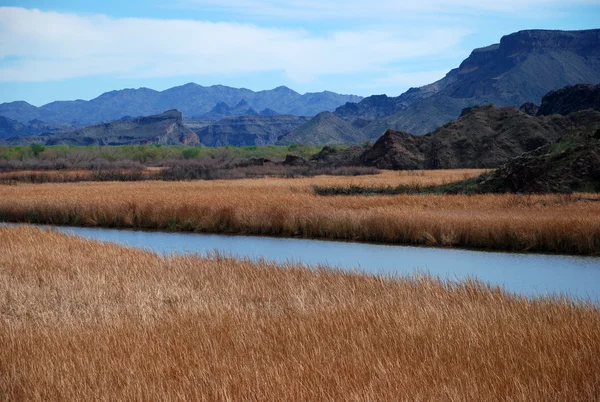 River valley in Arizona — Stock Photo, Image