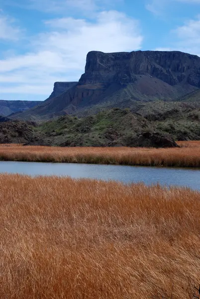 Vallée de la rivière en Arizona — Photo