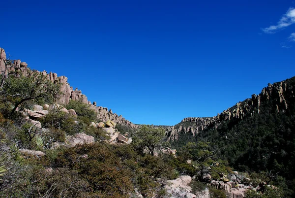 Monumento Nacional Chiricahua: el valle de las rocas — Foto de Stock