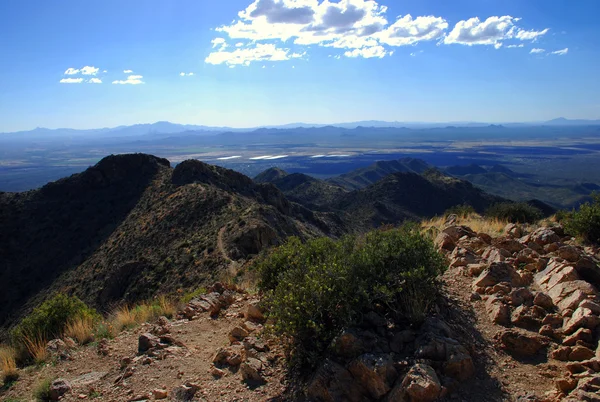 Saguaro Nationaalpark: het uitzicht vanaf wasson peak — Stockfoto