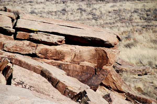 Petroglifos en el Parque Nacional Bosque Petrificado — Foto de Stock