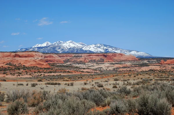 Montagne di La Sal — Foto Stock