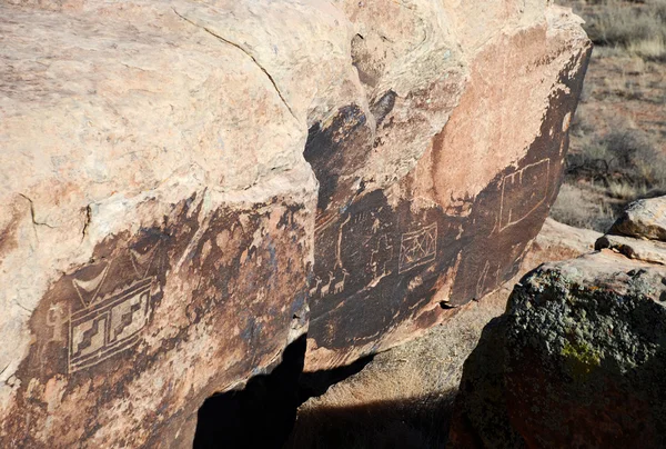 Petroglifos en el Parque Nacional Bosque Petrificado Imagen de archivo