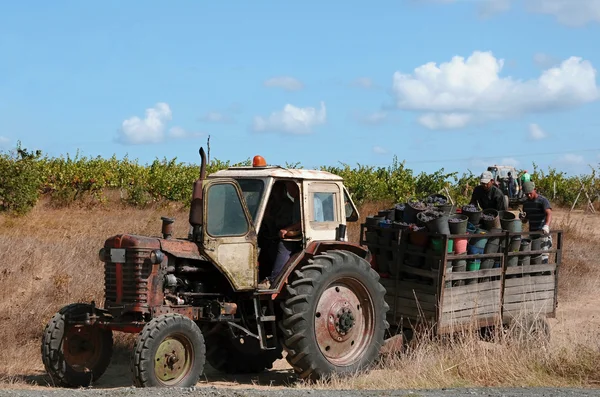 Máquinas agrícolas — Fotografia de Stock