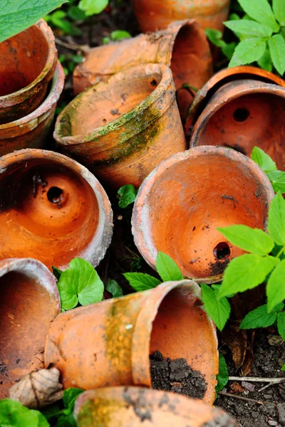 Сlay pots — Stock Photo, Image
