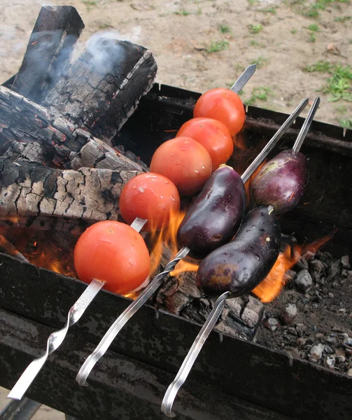 Berenjena y tomate en brocheta tostado en una fogata abierta — Foto de Stock