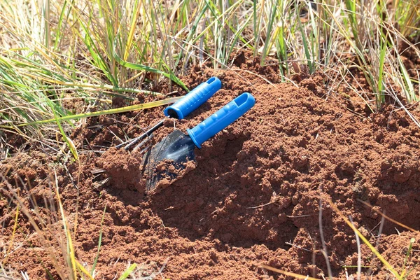 Dig shovel and rake — Stock Photo, Image