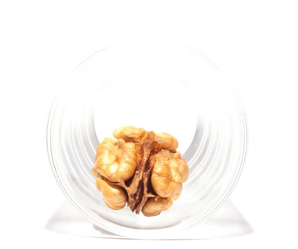 Walnut — Stock Photo, Image