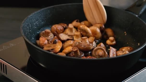 Pan Fried Mushrooms Cooking Process — Vídeo de Stock