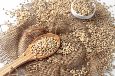 Arka planda arpa var. Tahta kaşıkta kuru arpa yığını.