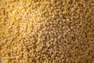 Millet yakın planda inliyor. Üst görünüm