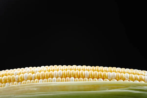 Raw corn in close-up. Corn kernel on black background. View from an angle.