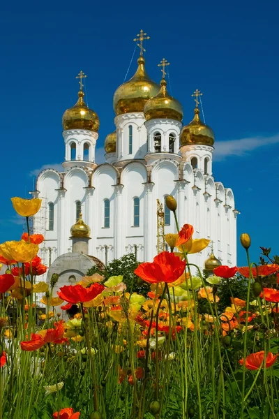 katedral