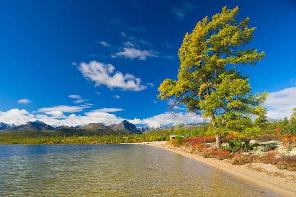 Playa rosa — Foto de Stock