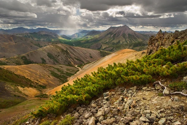 Colored mountain — Stock Photo, Image