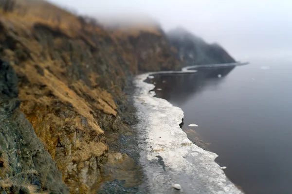 Printemps sur la côte de mer — Photo