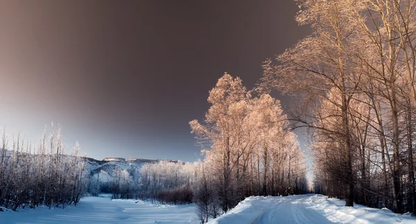 Futuristiska vinter — Stockfoto