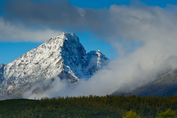 Die Berge — Stockfoto