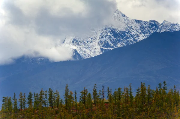 Die Berge — Stockfoto