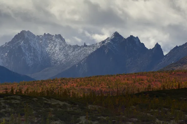 The Mountains — Stock Photo, Image