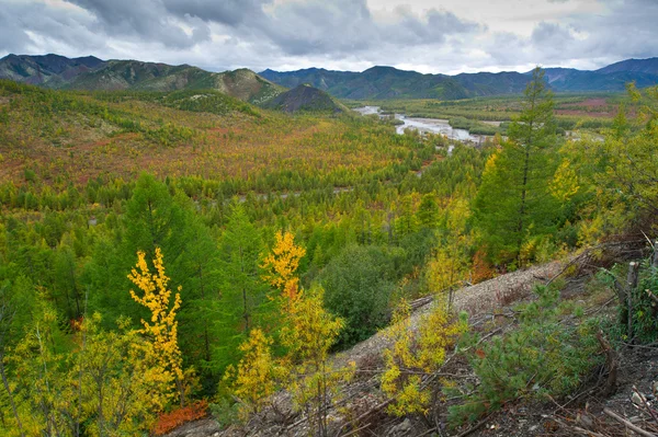 Autumn pass — Stock Photo, Image