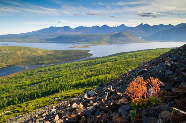 Jack London Lake — Stockfoto