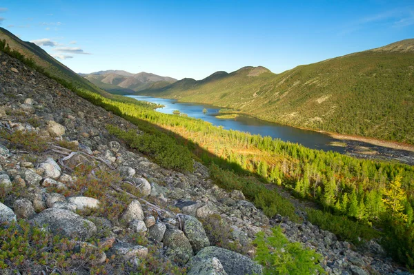 Lake Dancing grayling — Stock Photo, Image