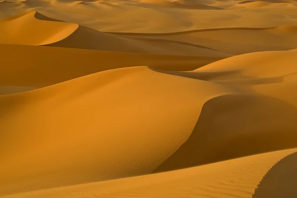 Deserto libico. Dense polvere d'oro, dune e belle strutture sabbiose alla luce del sole basso . — Foto Stock