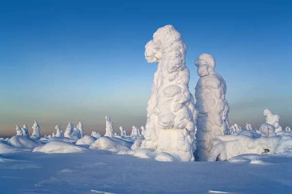 Northern Ural Mountains. Fantastic snow figures on trees. Frosty morning on border with Siberia. — Stock Photo, Image