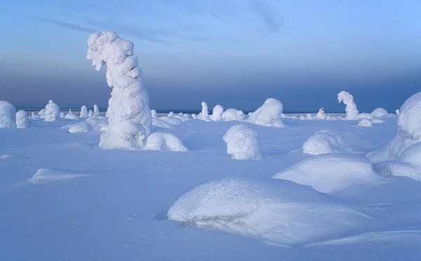 Montagnes du nord de l'Oural. Fantastiques figures de neige sur les arbres. Matin givré à la frontière avec la Sibérie . — Photo