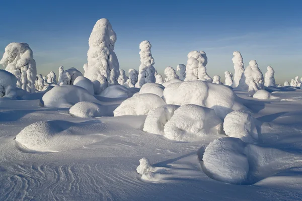 北ウラル山脈。木に幻想的な雪の数字。シベリアとの国境に冷ややかな朝. — ストック写真
