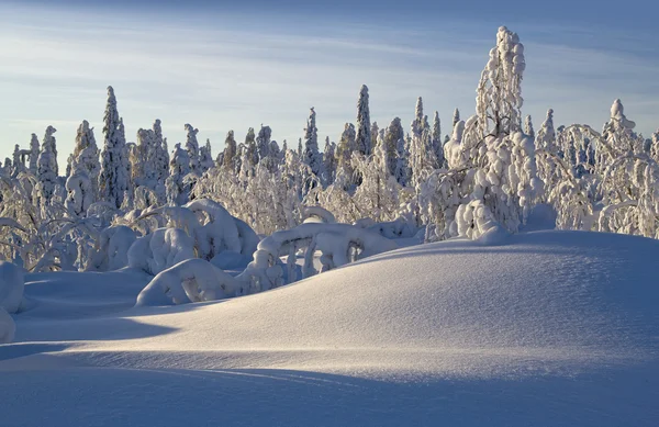 Montagnes de l'Oural Nord . — Photo