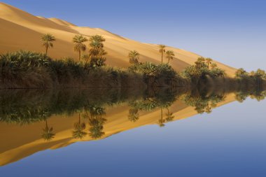 Oasis. Libya Çölü.