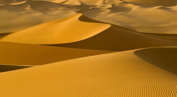 Libysche Wüste. Dichter Goldstaub, Dünen und schöne Sandstrukturen im Licht der tiefstehenden Sonne. — Stockfoto