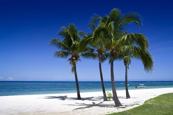 Mauricio - el lugar de vacaciones bien en cualquier momento años. Buenos hoteles y excelentes playas. Mar caliente . — Foto de Stock