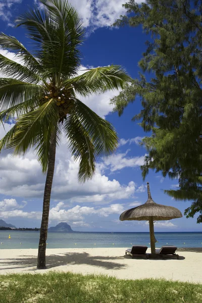 Mauricio - el lugar de vacaciones bien en cualquier momento años. Buenos hoteles y excelentes playas. Mar caliente . —  Fotos de Stock