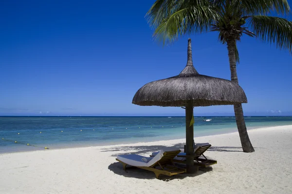Mauricius - jemné prázdninovou destinací v jakékoliv době let. vynikající pláže a hotely. teplé moře. — Stock fotografie
