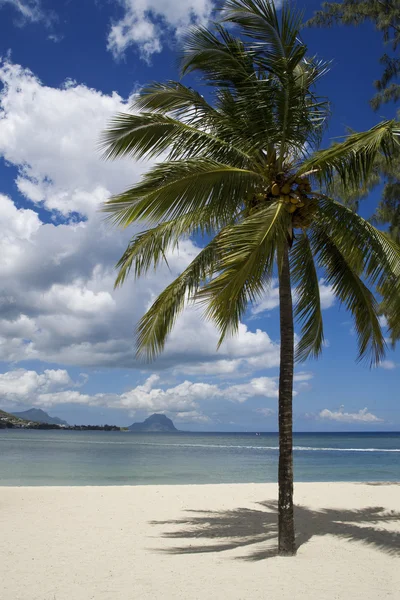 Hermosa playa tropical en complejo de lujo en Mauricio — Foto de Stock