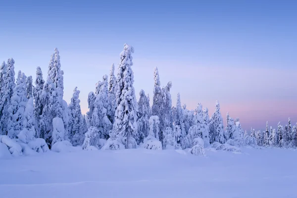 Northern Ural Mountains. Fantastic snow figures on trees. Frosty morning on border with Siberia. — Stock Photo, Image