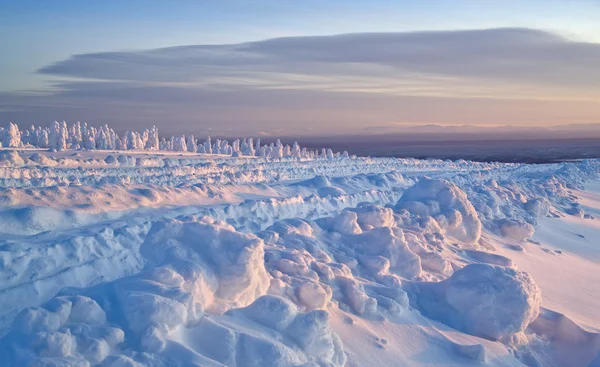 Βόρεια Ουράλια Όρη. φανταστική χιόνι στοιχεία στα δέντρα. Ψυχρός πρωί στα σύνορα με τη Σιβηρία. — Φωτογραφία Αρχείου