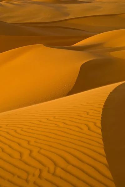 Désert libyen. Dense poussière d'or, dunes et belles structures sablonneuses à la lumière du soleil bas . — Photo