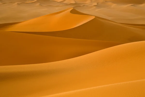 Deserto Líbio. Poeira de ouro densa, dunas e belas estruturas arenosas à luz do sol baixo . — Fotografia de Stock